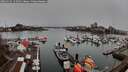 ./images/victoria/wharf/20260315/wharf20260315_155502M.jpg