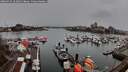 ./images/victoria/wharf/20260315/wharf20260315_161001M.jpg