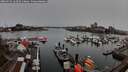 ./images/victoria/wharf/20260315/wharf20260315_162502M.jpg