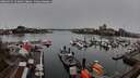 ./images/victoria/wharf/20260315/wharf20260315_163001M.jpg