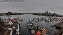 ./images/victoria/wharf/20260315/wharf20260315_164001M.jpg