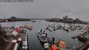 ./images/victoria/wharf/20260315/wharf20260315_170501M.jpg
