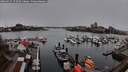 ./images/victoria/wharf/20260315/wharf20260315_172501M.jpg