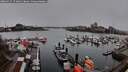./images/victoria/wharf/20260315/wharf20260315_173002M.jpg
