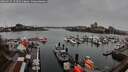./images/victoria/wharf/20260315/wharf20260315_174501M.jpg