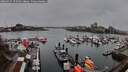 ./images/victoria/wharf/20260315/wharf20260315_175501M.jpg