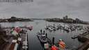 ./images/victoria/wharf/20260315/wharf20260315_180501M.jpg