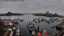 ./images/victoria/wharf/20260315/wharf20260315_181001M.jpg