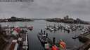 ./images/victoria/wharf/20260315/wharf20260315_181501M.jpg