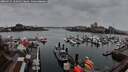 ./images/victoria/wharf/20260315/wharf20260315_182002M.jpg