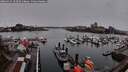 ./images/victoria/wharf/20260315/wharf20260315_183501M.jpg