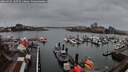 ./images/victoria/wharf/20260315/wharf20260315_185502M.jpg