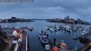 ./images/victoria/wharf/20260315/wharf20260315_191001M.jpg
