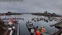 ./images/victoria/wharf/20260316/wharf20260316_074502M.jpg