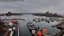 ./images/victoria/wharf/20260316/wharf20260316_075002M.jpg