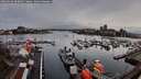 ./images/victoria/wharf/20260316/wharf20260316_090002M.jpg