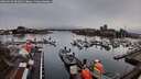 ./images/victoria/wharf/20260316/wharf20260316_091001M.jpg