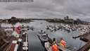 ./images/victoria/wharf/20260316/wharf20260316_122002M.jpg