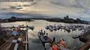 ./images/victoria/wharf/20260316/wharf20260316_180501M.jpg