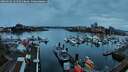 ./images/victoria/wharf/20260316/wharf20260316_191501M.jpg