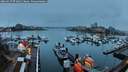./images/victoria/wharf/20260317/wharf20260317_073001M.jpg