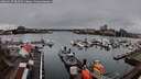 ./images/victoria/wharf/20260317/wharf20260317_083502M.jpg