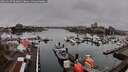 ./images/victoria/wharf/20260317/wharf20260317_094001M.jpg