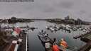 ./images/victoria/wharf/20260317/wharf20260317_094501M.jpg