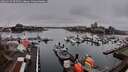./images/victoria/wharf/20260317/wharf20260317_095501M.jpg