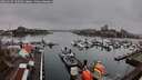 ./images/victoria/wharf/20260317/wharf20260317_100501M.jpg