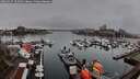 ./images/victoria/wharf/20260317/wharf20260317_105001M.jpg