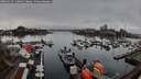 ./images/victoria/wharf/20260317/wharf20260317_110001M.jpg