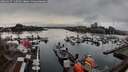 ./images/victoria/wharf/20260317/wharf20260317_110501M.jpg