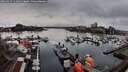 ./images/victoria/wharf/20260317/wharf20260317_111001M.jpg