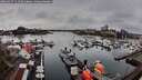./images/victoria/wharf/20260317/wharf20260317_111501M.jpg