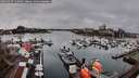 ./images/victoria/wharf/20260317/wharf20260317_112001M.jpg