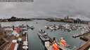 ./images/victoria/wharf/20260317/wharf20260317_123501M.jpg