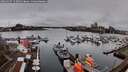 ./images/victoria/wharf/20260317/wharf20260317_125002M.jpg