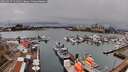 ./images/victoria/wharf/20260317/wharf20260317_131001M.jpg