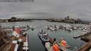 ./images/victoria/wharf/20260317/wharf20260317_133001M.jpg