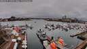 ./images/victoria/wharf/20260317/wharf20260317_140502M.jpg