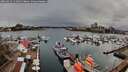 ./images/victoria/wharf/20260317/wharf20260317_141002M.jpg