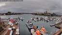 ./images/victoria/wharf/20260317/wharf20260317_144501M.jpg