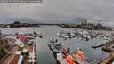 ./images/victoria/wharf/20260317/wharf20260317_150501M.jpg