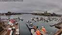 ./images/victoria/wharf/20260317/wharf20260317_151001M.jpg