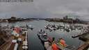 ./images/victoria/wharf/20260317/wharf20260317_160501M.jpg