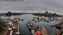 ./images/victoria/wharf/20260317/wharf20260317_175001M.jpg