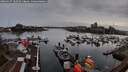 ./images/victoria/wharf/20260317/wharf20260317_182501M.jpg