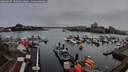 ./images/victoria/wharf/20260317/wharf20260317_185002M.jpg