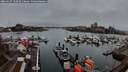./images/victoria/wharf/20260317/wharf20260317_190501M.jpg